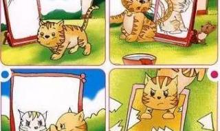 二年级语文期末试卷 二年级语文期末试卷